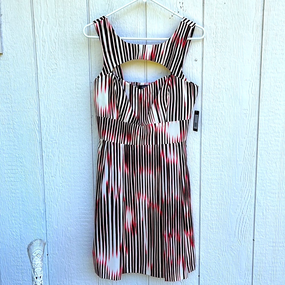 Guess NWT wonderful striped dress